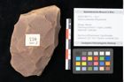 Foto (Objekt + Etikett) von Quercus palaeoilex Ettingshausen (NHMW-GEO-2024-0188-0770)